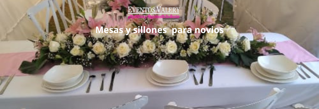 Mesas y sillones para novios Renta de toro mecánico