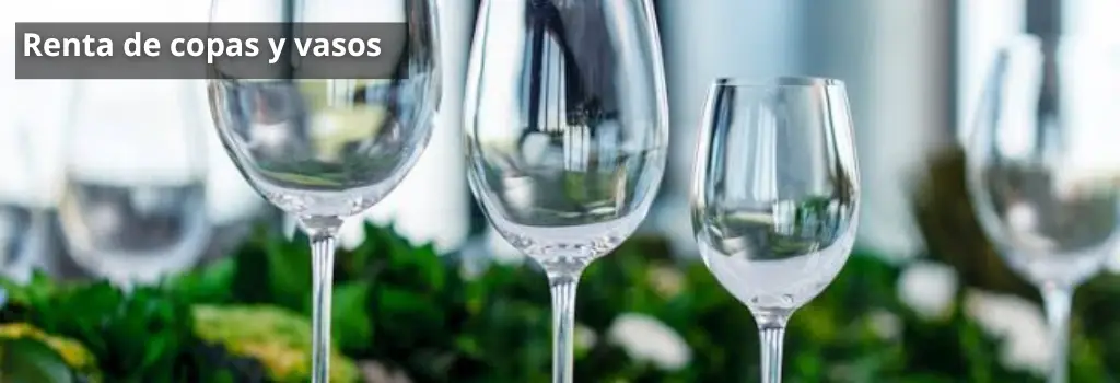 renta de copas y vasos para fiestas y eventos (9) Renta de toro mecánico