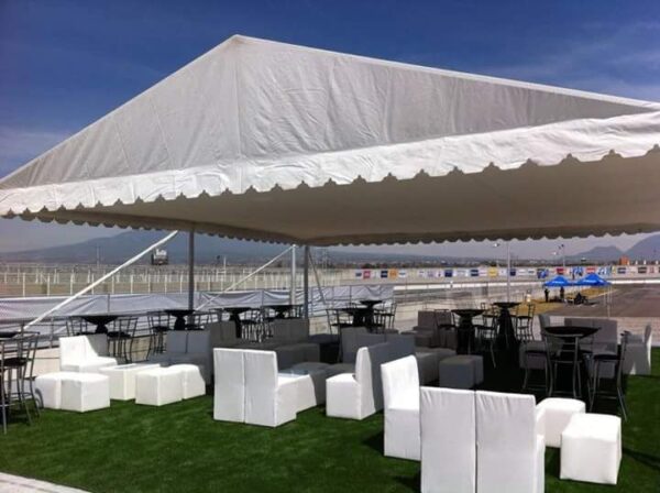 Carpa 10x10mts