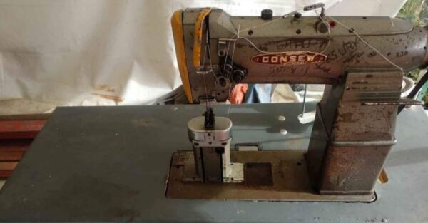 Maquina de coser triple arrastre doble aguja topo zapatero - Imagen 2